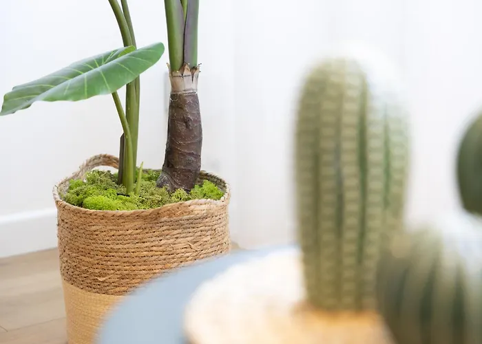 Διαμέρισμα Dylan